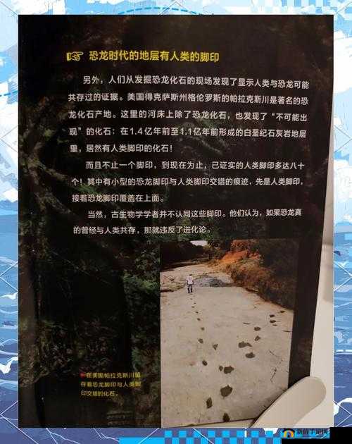 失落遗迹，迎接蛇年新春，踏上探索与挑战的奇幻之旅