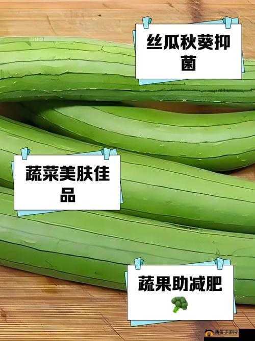 丝瓜秋葵草莓绿巨人：一场别样的奇妙食材大集合