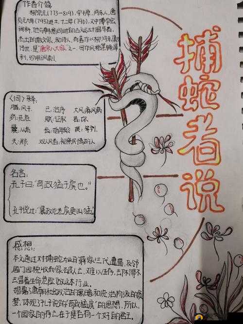 桃花源记手游星幻冥龟通关攻略，深入解析星幻冥龟打法与战斗策略