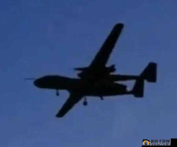 我要打飞行机 8X8X 视频海外：探寻其背后的故事与意义