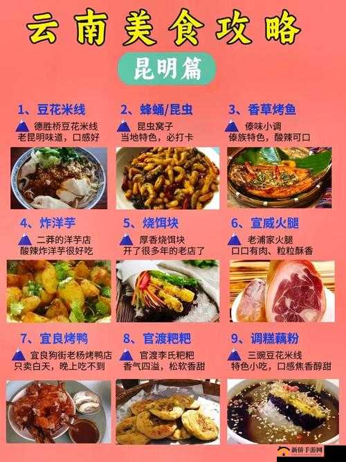 吃？？网 cgw01 带来独特美食体验与发现