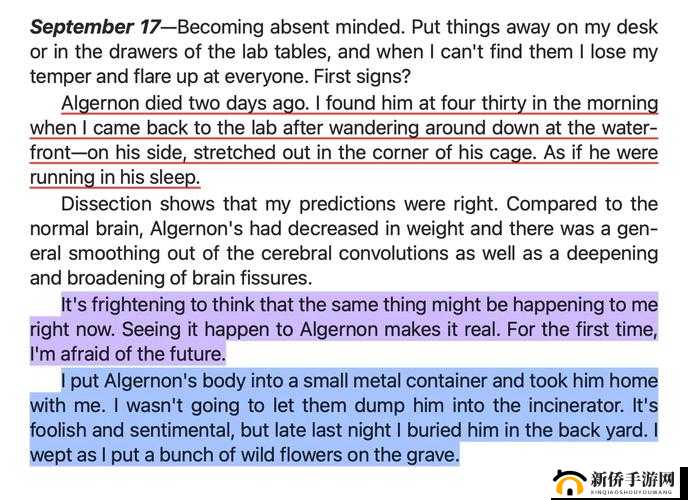 WRITEAS 幼童：网络世界的争议与反思