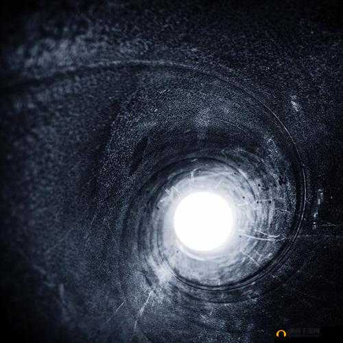 揭秘：又黑又大又长的东西是什么？引发全网热议的神秘事物