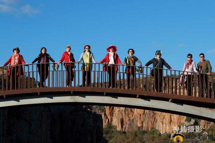 人马畜禽 company 免费澎湃号：开启精彩之旅