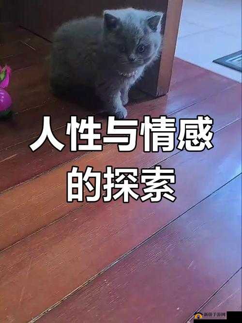 人善交ZZZZXXXXX另类：关于其独特性与相关思考的探讨