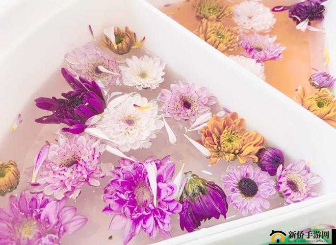 吃花核心流水喝：探索其背后的奥秘与意义