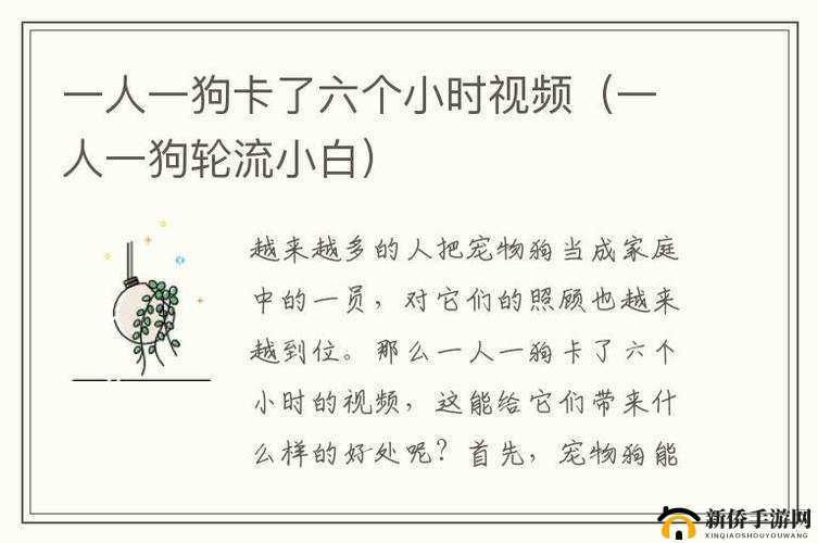 一人一狗卡六个小时游戏：这是怎样的独特体验