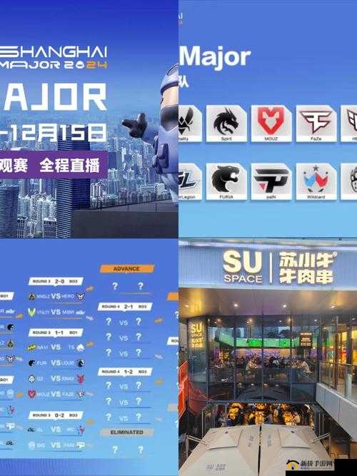 老外免费 csgo 在线观看：精彩赛事不容错过的绝佳体验