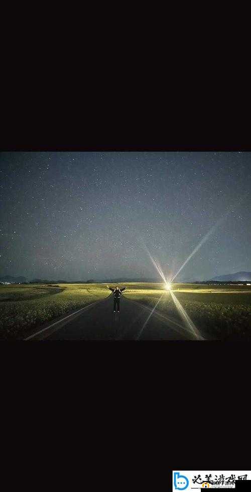 麻花星空 mV：奇幻星空下的别样魅力之旅