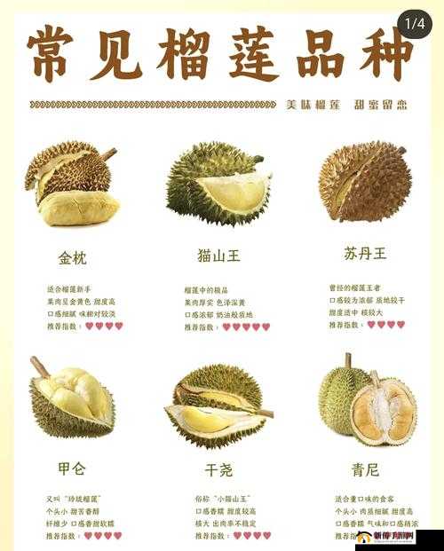 蔬菜与水果的奇妙组合：探索茄子、丝瓜、向日葵、黄瓜、榴莲、鸭脖的多元世界