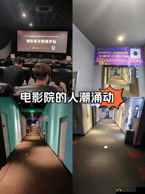 汤姆猫私人影院：畅享极致观影体验的绝佳之地