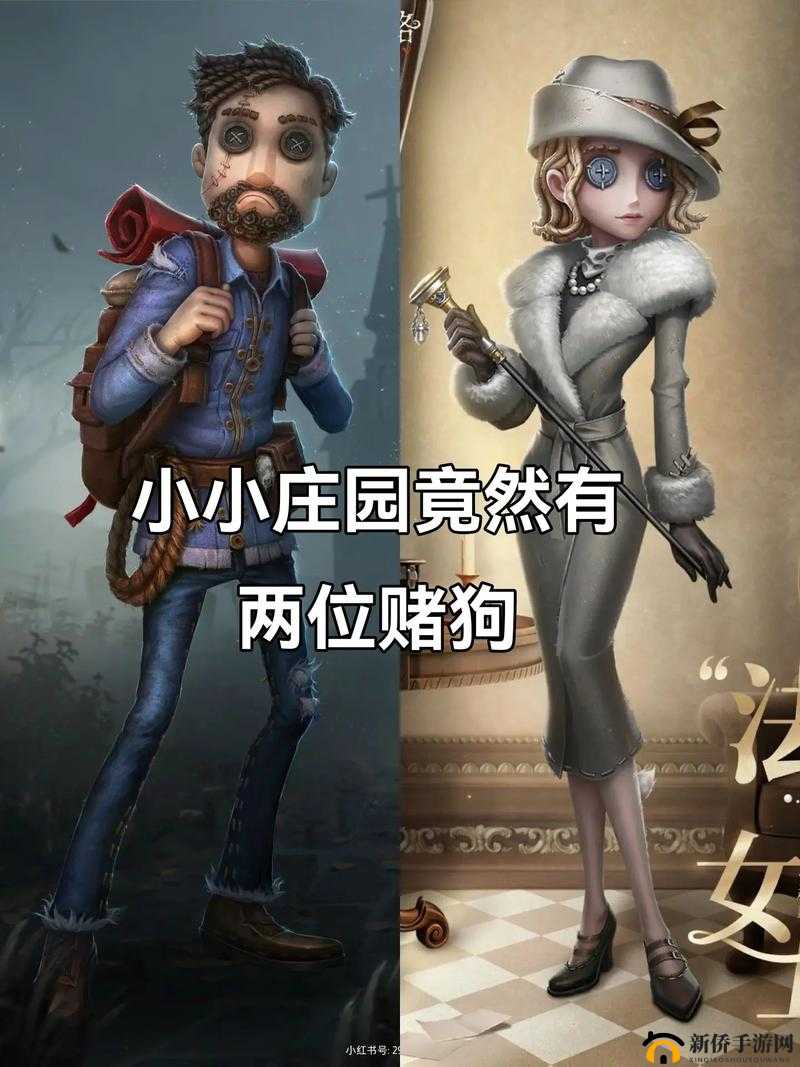 第五人格新版本全面剖析，冒险家的奇幻之旅深度解读