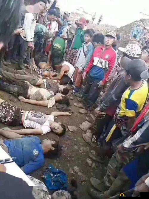 缅北恐怖网站 www 缅甸相关信息及背后的警示