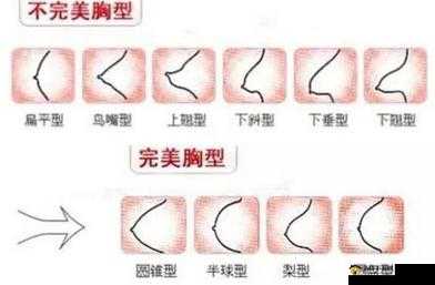 女性各种 B 型：探索其背后的独特魅力与潜在影响