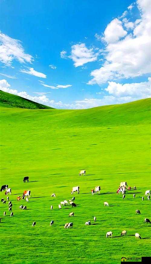 天堂草原视频免费观看——畅享草原风光盛宴