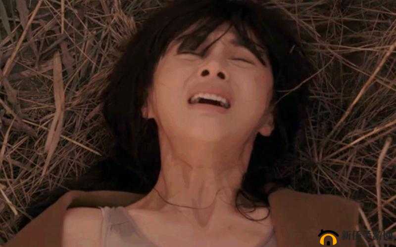 日本电影一区：探索日本电影的无限魅力