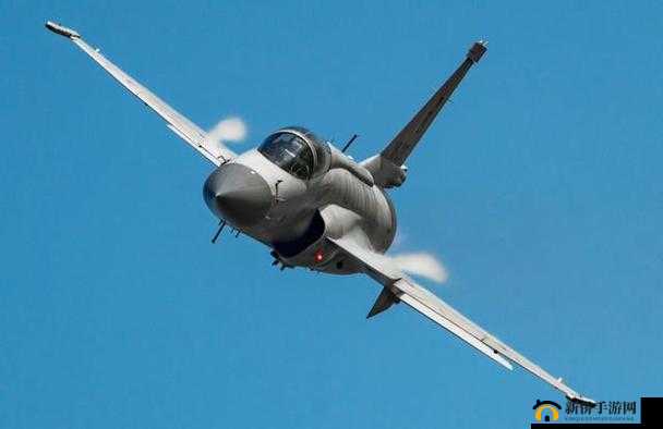 2025年春节恰逢枭龙之日，探索机动与力量化身的独特魅力