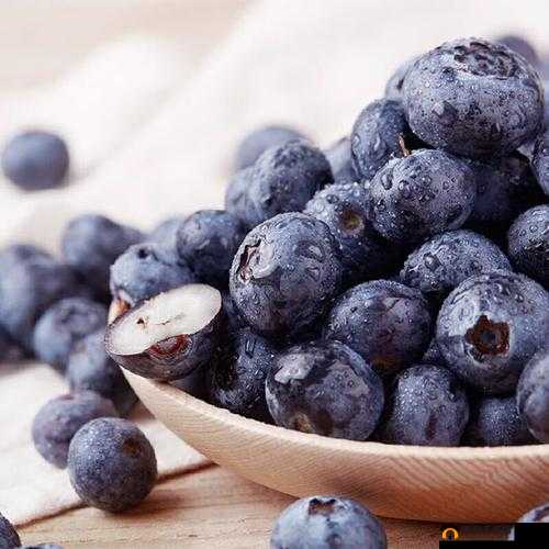 中国新疆XXXXXL19D蓝莓：口感鲜美营养丰富的优质水果