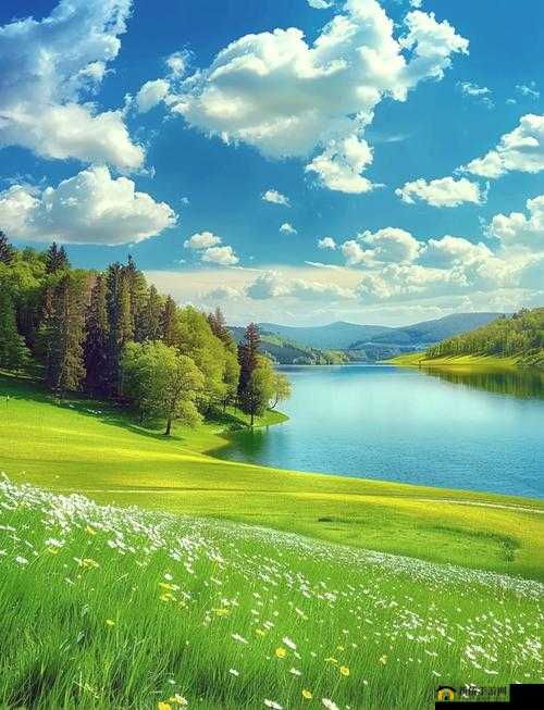 海角妈妈绿意盎然：探索自然之美，感受生命的力量