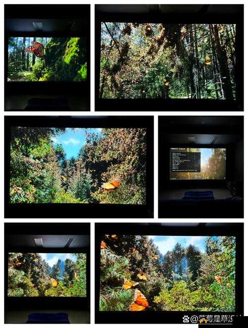 小幼子影院：带来精彩绝伦的视听盛宴