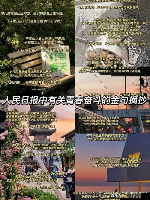 热心的朝阳群众51cgfun 青春有我：展现新时代的青春风采与责任担当