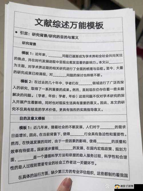 WWWXXⅩ之详细解析与全面探讨及其重要意义和深远影响