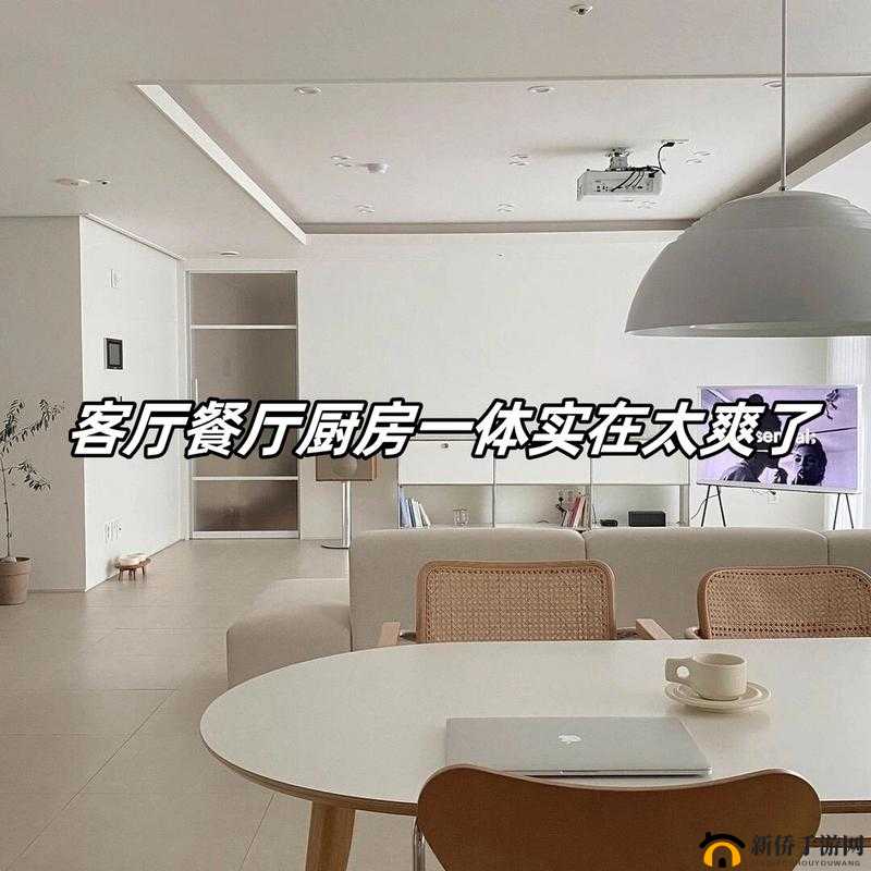 从厨房到客厅：一段连接美味与温馨的家居之旅