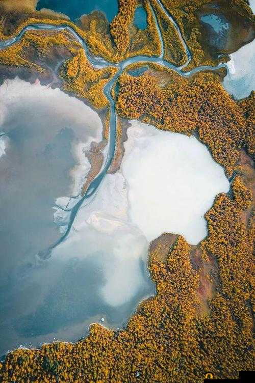 xxxx1819HD ：带来全新视觉震撼的精彩呈现