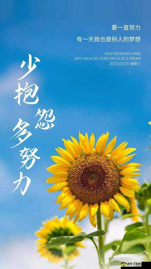 可以直接进入网站的正能量没封的：带你领略积极向上的精彩世界