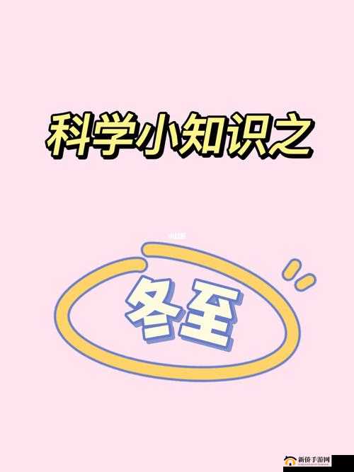 悠久之树冬至角色表现全解析，冬至技能效果详细一览