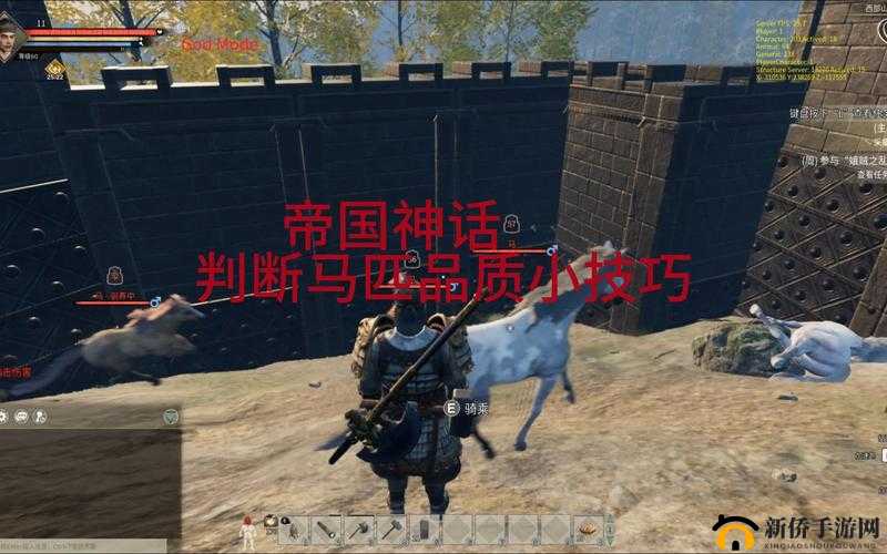 帝国神话中如何辨识神驹，掌握神驹判断的小技巧与观察要点