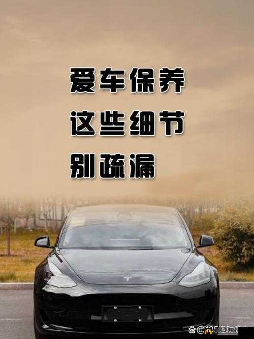 在车上要了我：一段令人意想不到的车上经历