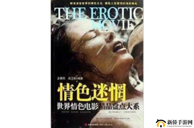 B 片三级片：探索独特的情色艺术世界