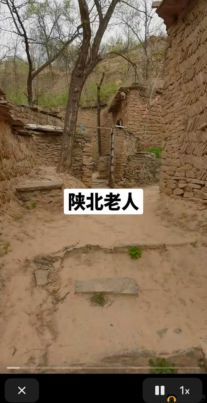 山西窑洞老阿姨：平凡生活中的坚守与温暖岁月