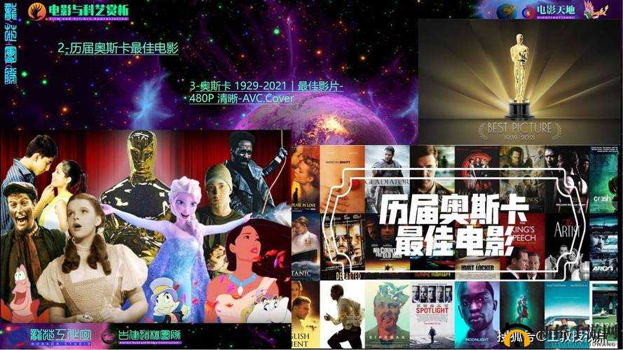 MD 传媒作品大全：探索无限精彩的影视世界