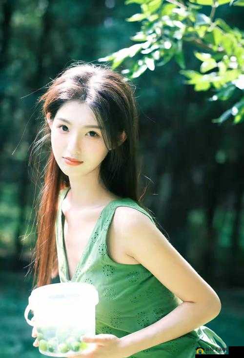 91 久久久女厕精品一区二区：探索女性私密空间的独特视角