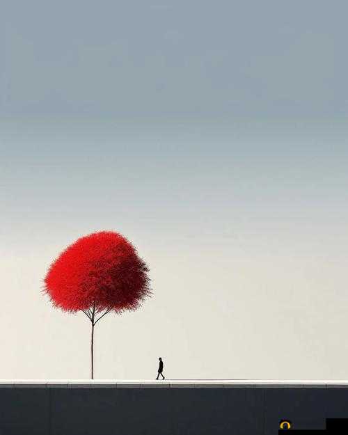 10 款成品短视频：展现多样精彩的视觉盛宴