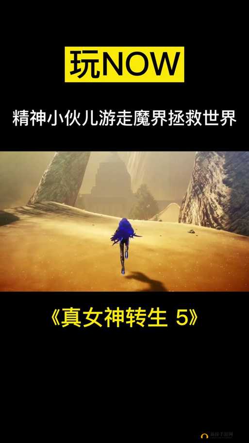 真女神转生5，高效提升等级策略及游戏资源管理中迅速升级的至关重要性