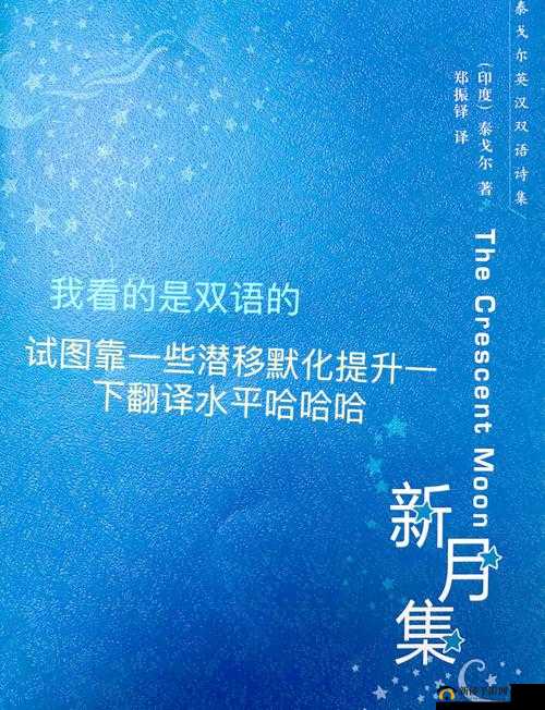国产一级 137 片内射新月女：震撼视觉与情感的独特演绎