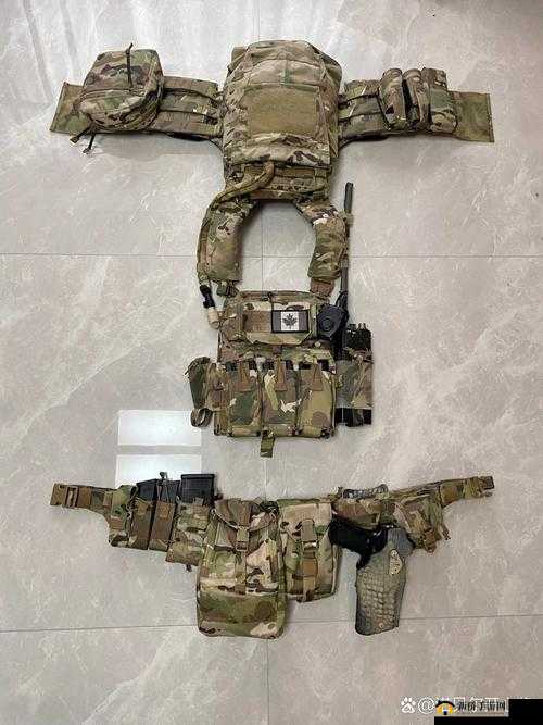 黑月Extend深度解析，六把顶尖武装搭配策略与实战战术探讨