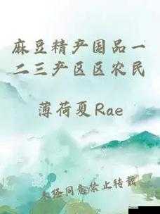 麻豆精产国品一二三产区区别免费之详细解读