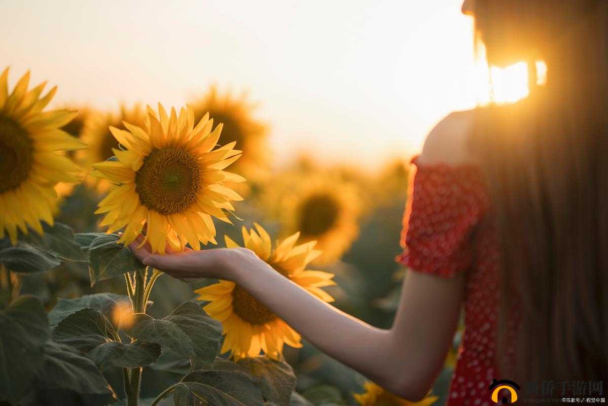 老胡的春天赵丽雅：一段温暖而美好的情感旅程