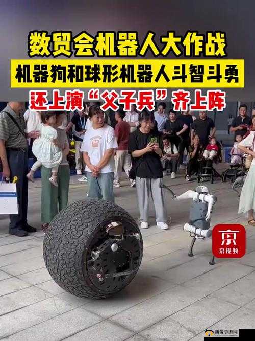 父子两人齐上阵：携手共克艰难险阻勇创未来