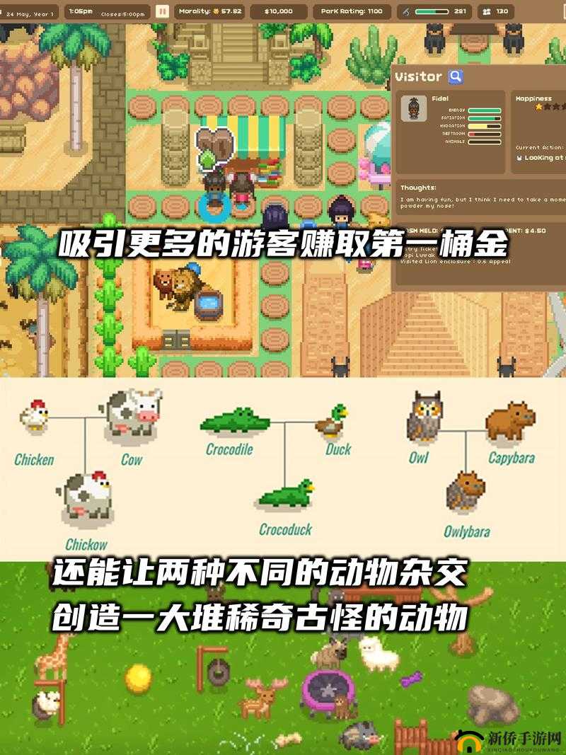 打造梦想动物园，全面解析特色经营玩法与建设攻略
