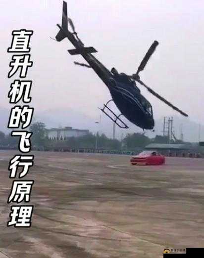 法国航乘电影 2023 最新版：揭秘航空界的神秘面纱