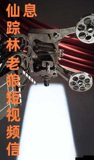 仙踪林老狼网站：探寻神秘之林的独特魅力