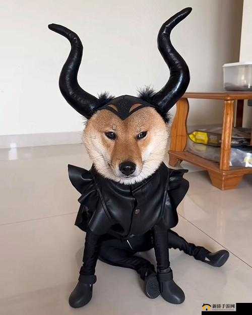 全面解析普通狗哥模拟器攻略，助你打造拥有超强战斗力的狗哥角色