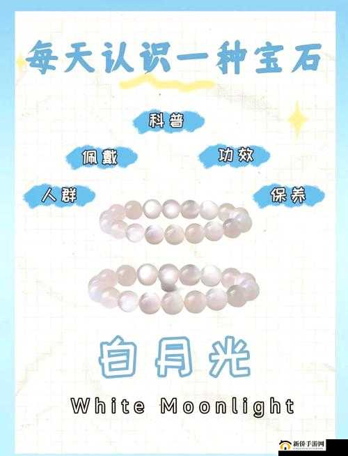 对白内射：深入探索其奥秘与应用