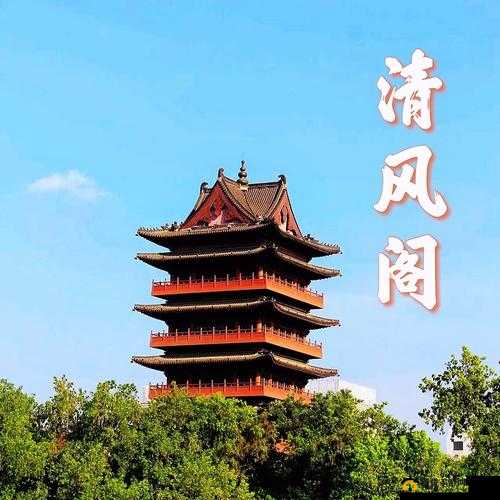 清风阁在线观看：成人内容引发的争议