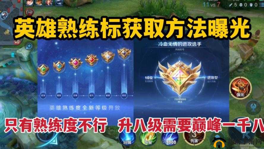 英雄联盟手游英雄熟练度快速提升策略，揭秘高效升级的小技巧与秘籍